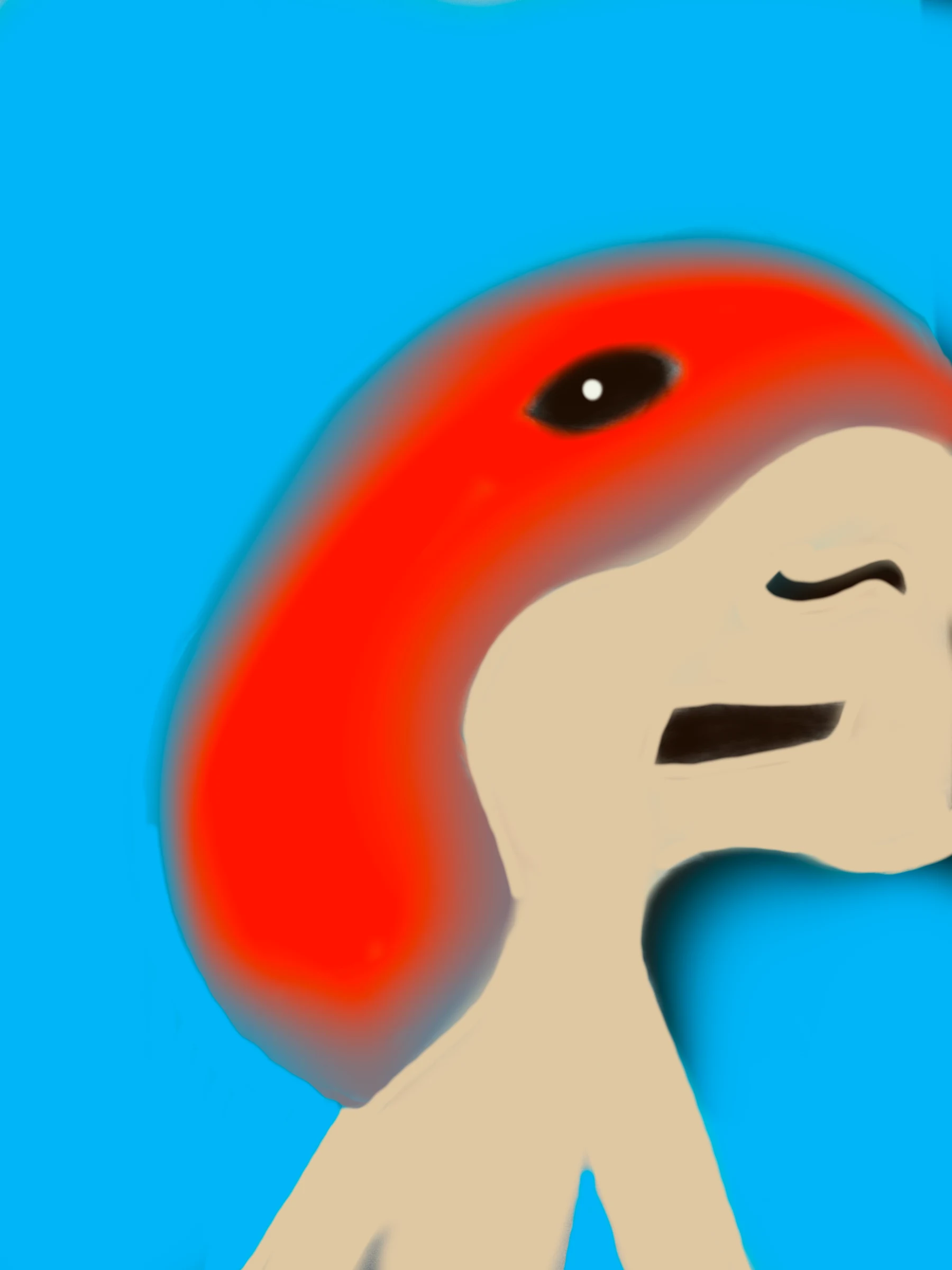 Wonk